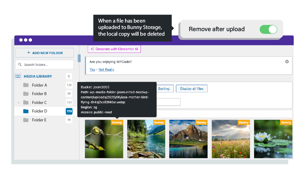 Optimize Server Storage & Hosting Resources