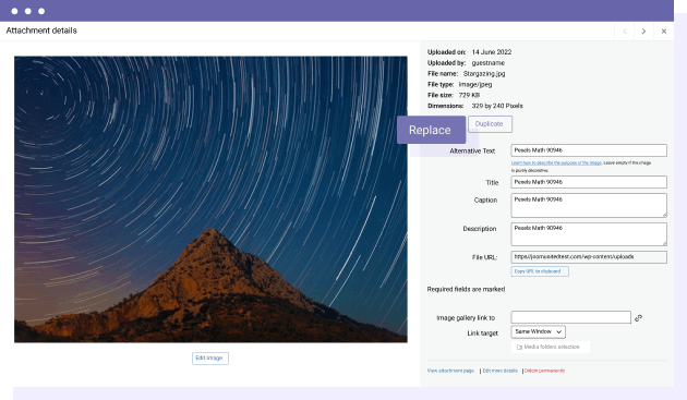 Allow users to replace existing media