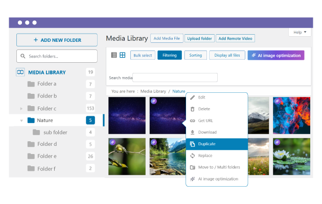 Duplicate media files