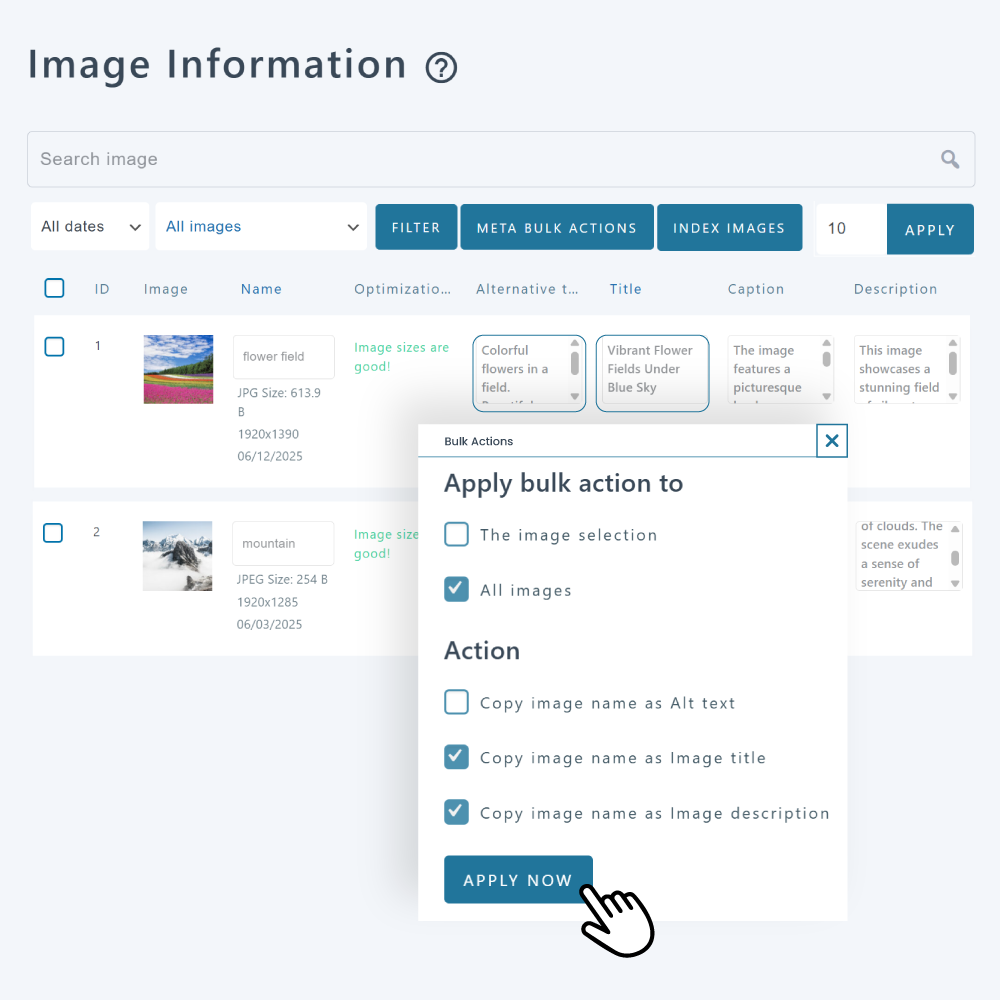 Image title text and alt text bulk edition