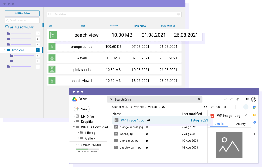 Manage downloadable files from WordPress content