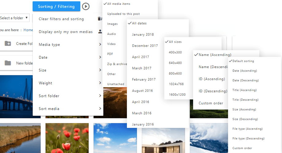 filter-and-order-media-folders