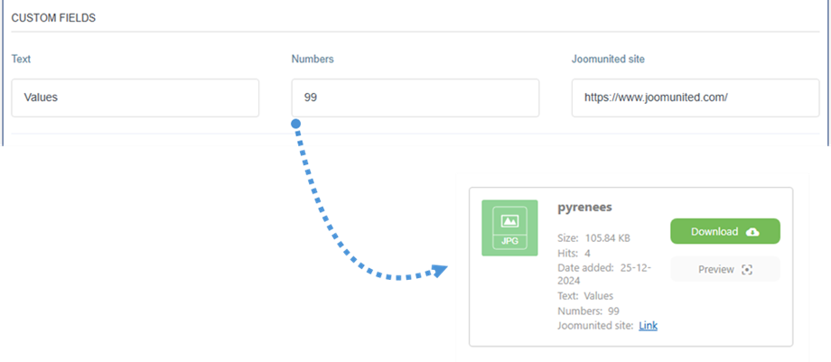 file-custom-field