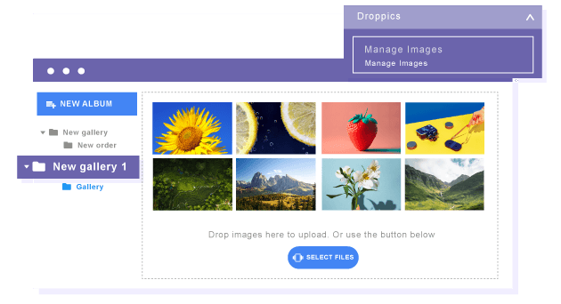 Manage Images and Galleries from Frontend