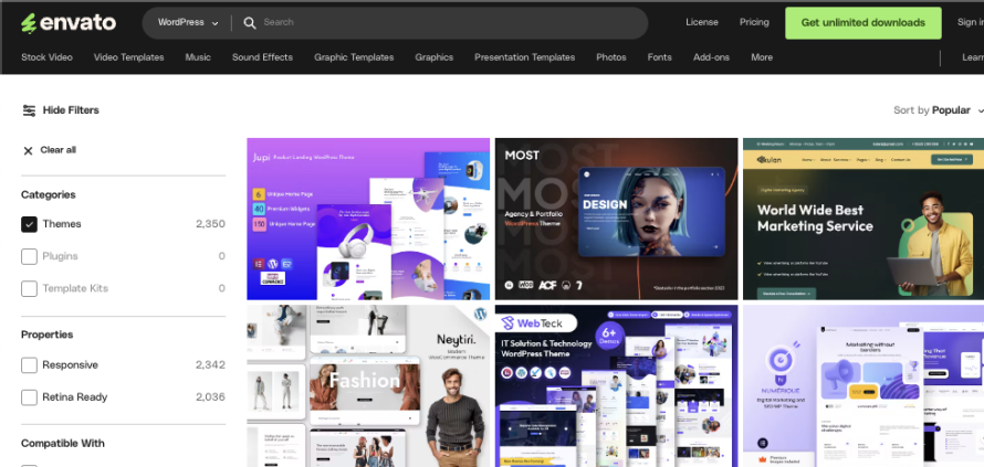 WordPress Premium Themes Market