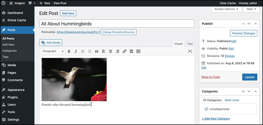 View Of Caption In Classic Editor - How to Add WordPress Image Captions