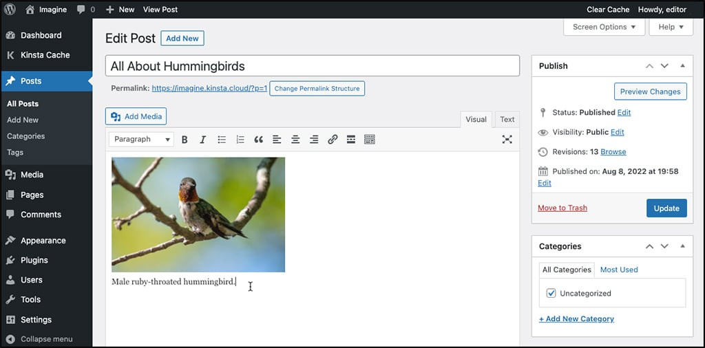 View Of Caption In Classic Editor - How to Add WordPress Image Captions