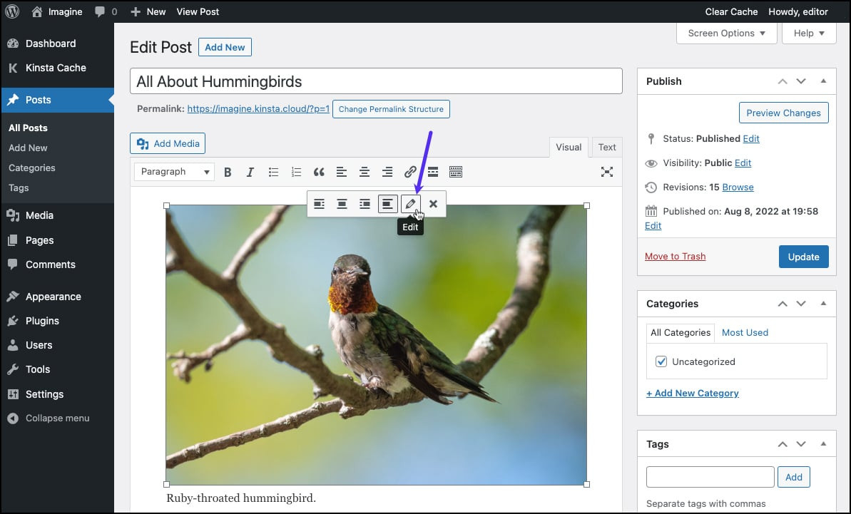 Click Edit - How to Add WordPress Image Captions