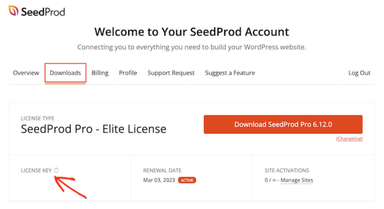 Install and Activate The SeedProd Plugin