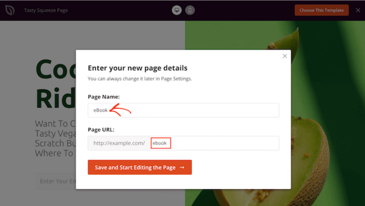 SeedProd Page Name and Page URL Field