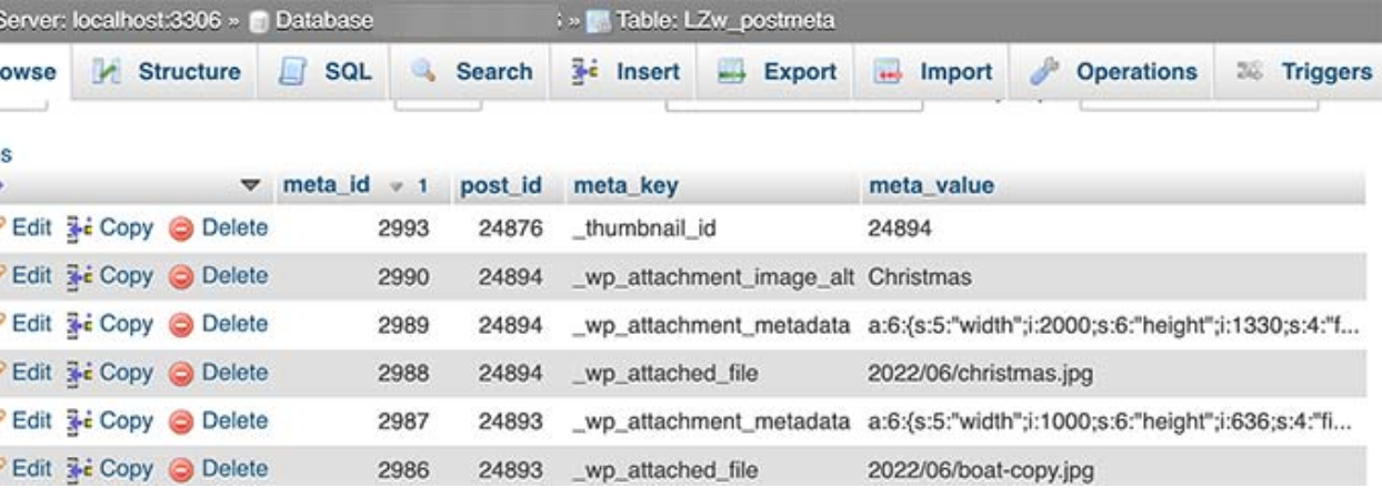 Understanding File Locations on Your Hosting Server