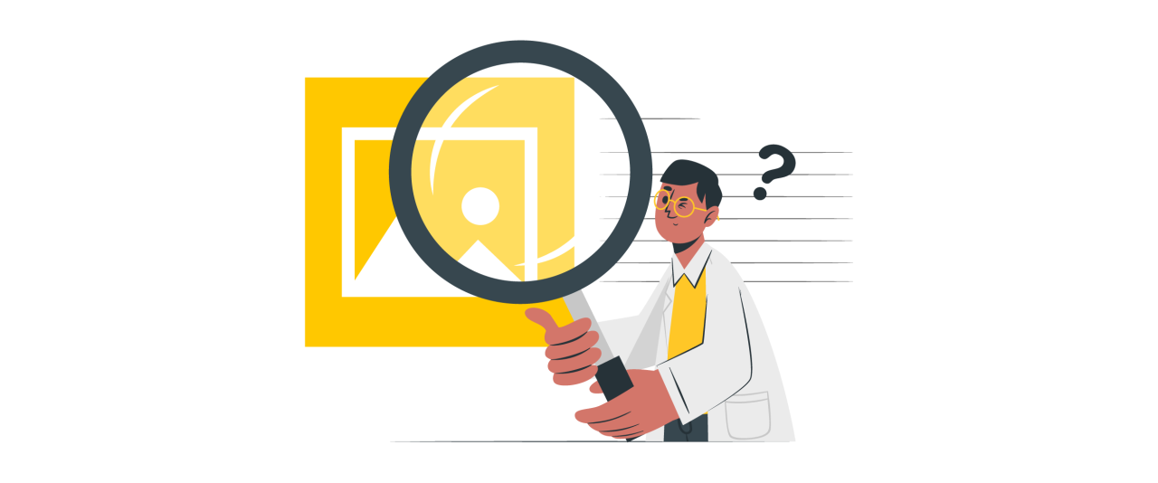How to Add Magnifying Zoom for Images in WordPress 
