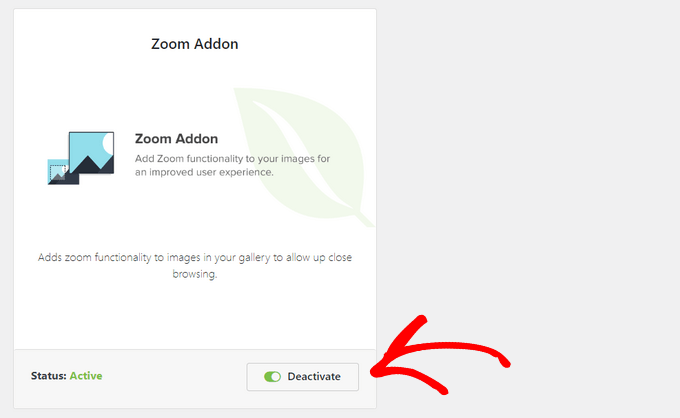 Activate - How to Add Magnifying Zoom for Images in WordPress 