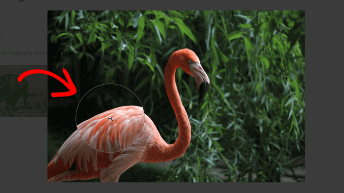 Magnifying Zoom - How to Add Magnifying Zoom for Images in WordPress 