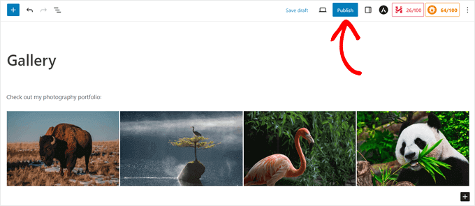 Publish - How to Add Magnifying Zoom for Images in WordPress 