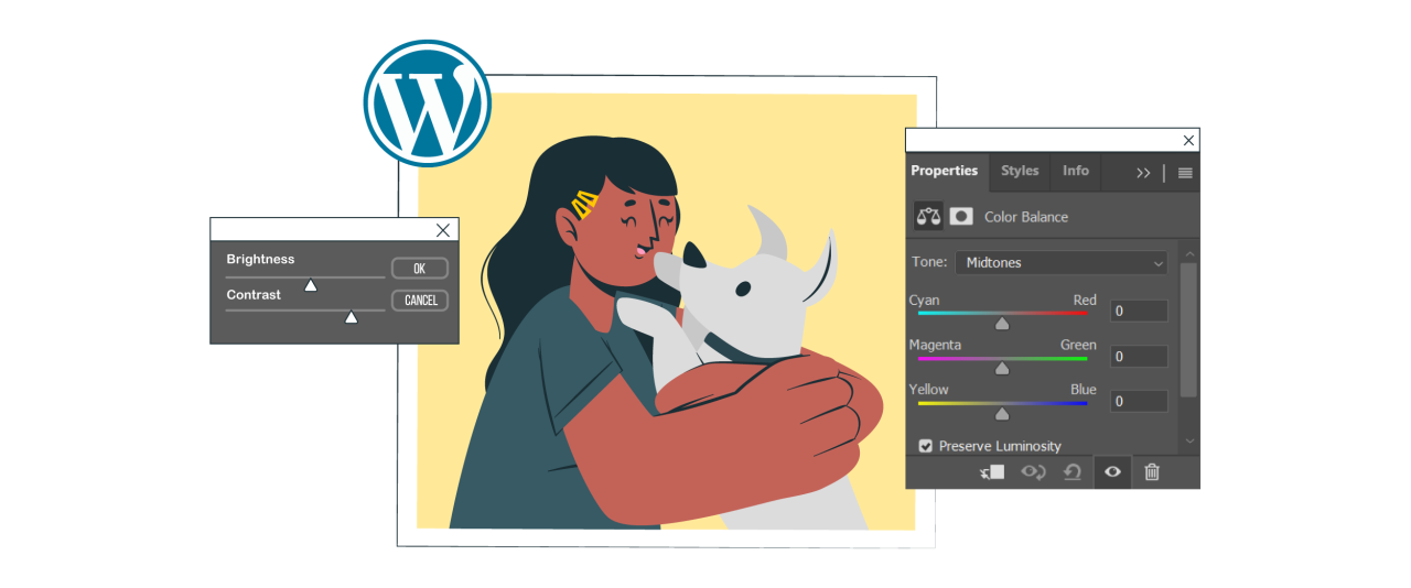 How to Fix Image Color and Saturation Loss in WordPress