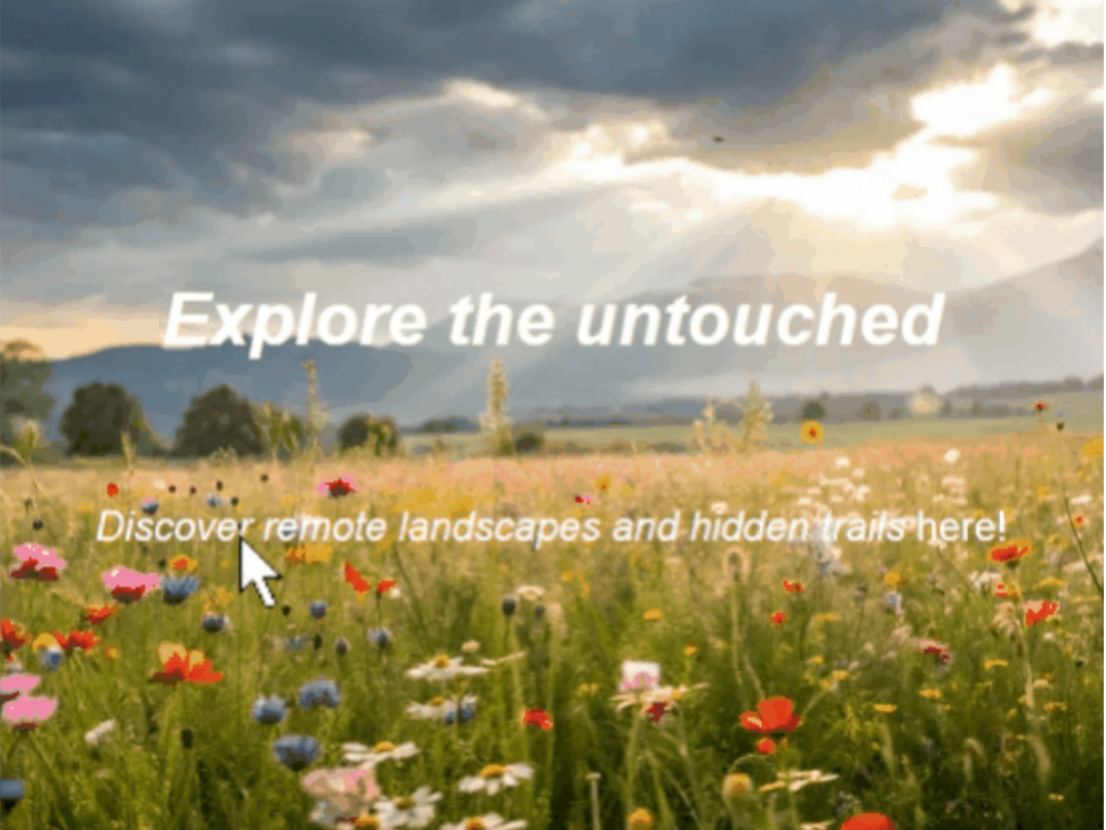 Hover Fade Effect in Action