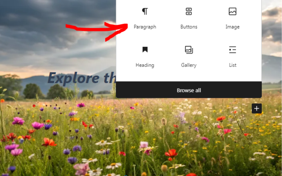 Paragraph Block on Gutenberg Editor