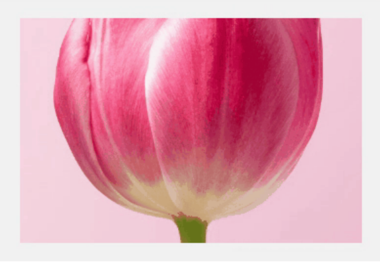 Result of Image Hover Effect