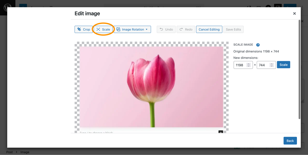 Edit and scale images in WordPress