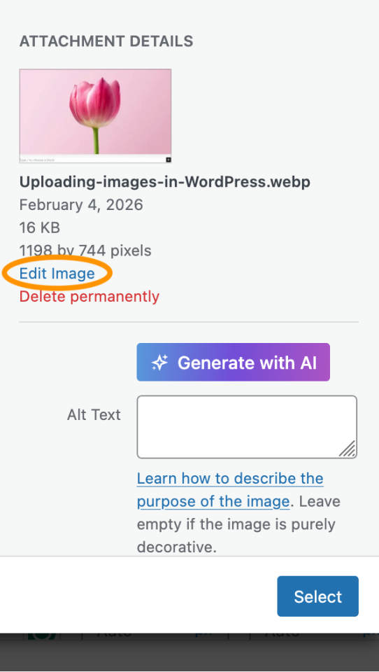 Editing image size in WordPress