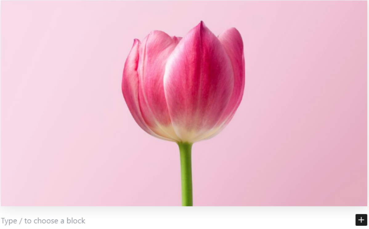 Uploading images in WordPress