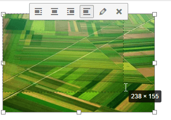 WP Meta SEO dynamic image resizing