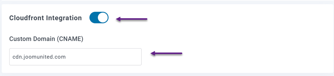 Insert CDN Domain Name - How to Connect Amazon S3 Buckets to WP Media Folder for Optimized Cloud Storage