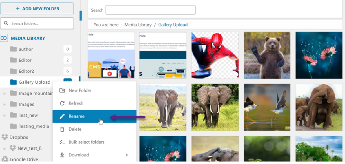 Rename Folder in Media Library Folders