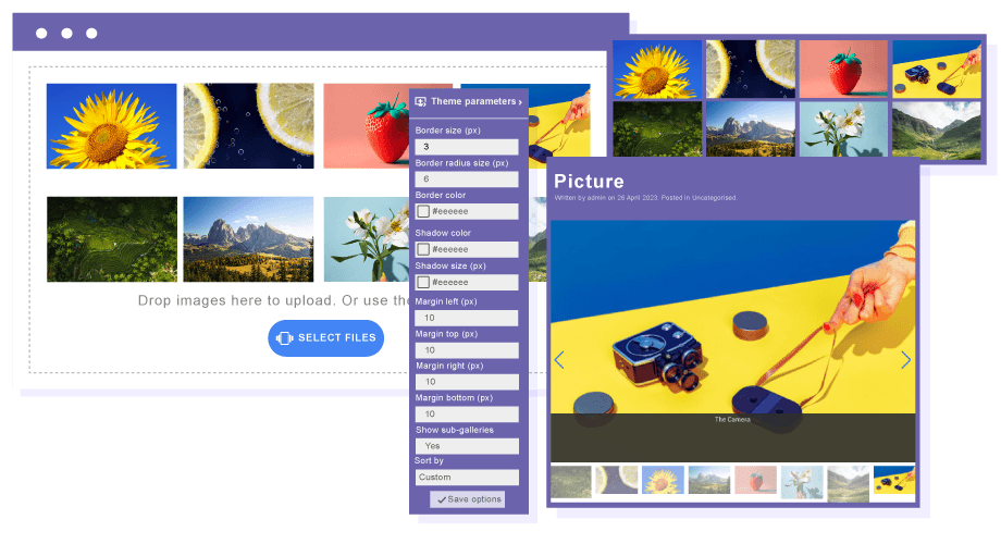 Gallery Themes and Image edition