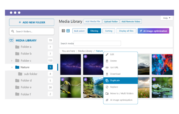 Duplicate media files