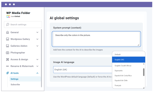 Custom System Prompt for Smarter Image Management