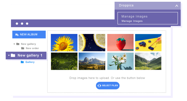 Manage Images and Galleries from Frontend