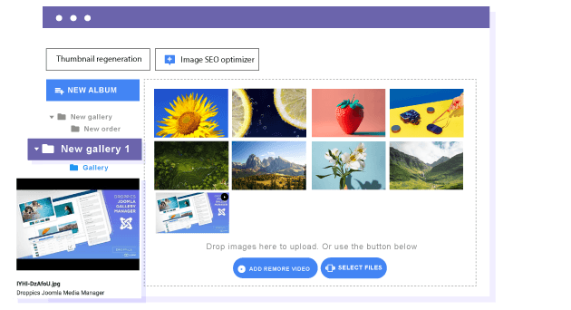 Image and Video Multi-Level Galleries